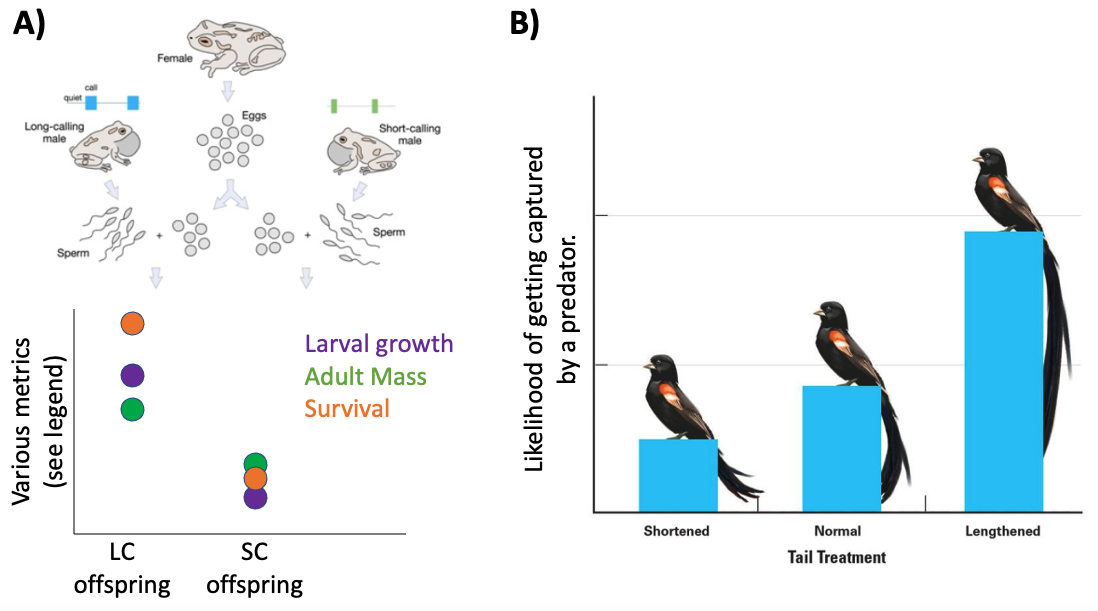 ../_images/expt-good-genes-vs-handicap.png