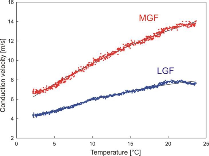 _images/earthworm-conduction-velocity-temperature.jpeg